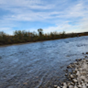 Meet your Posher, Adeola